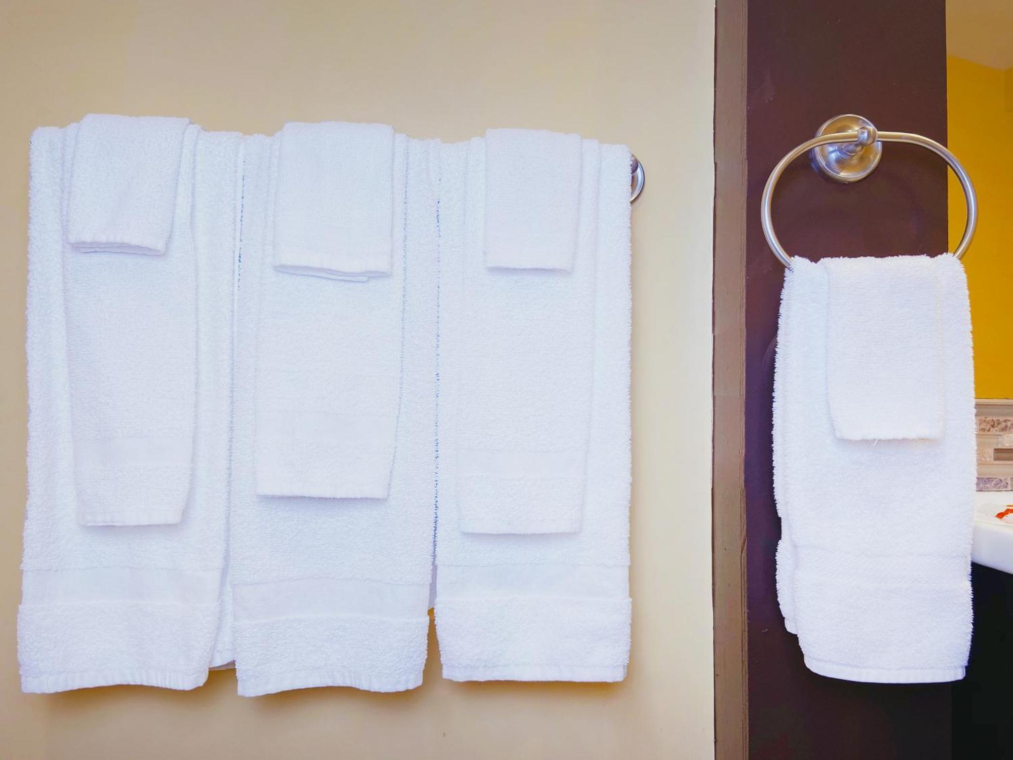 Deluxe Suite Spa Bath