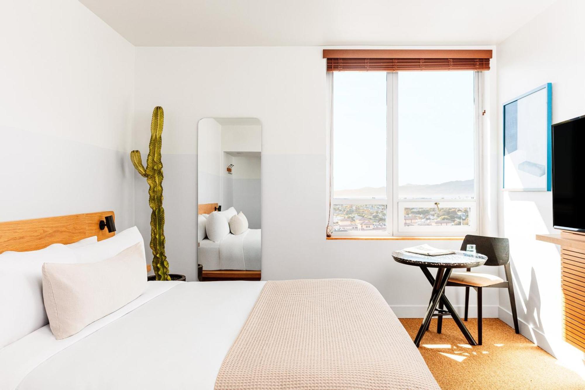 Two Bedroom Studio