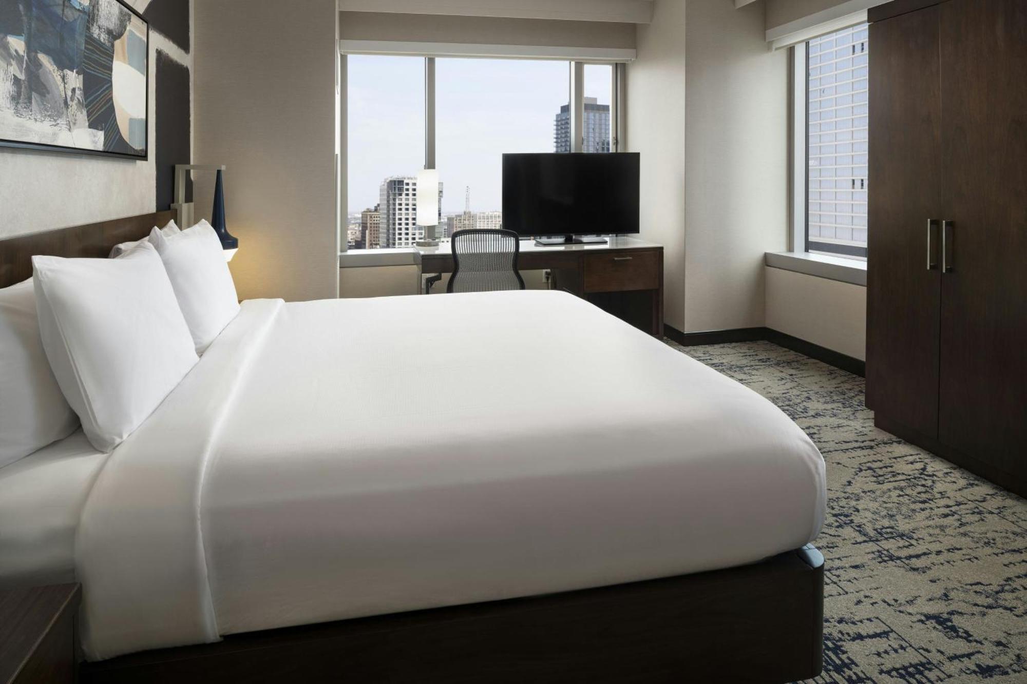 Executive Suite 1 King Sofa bed