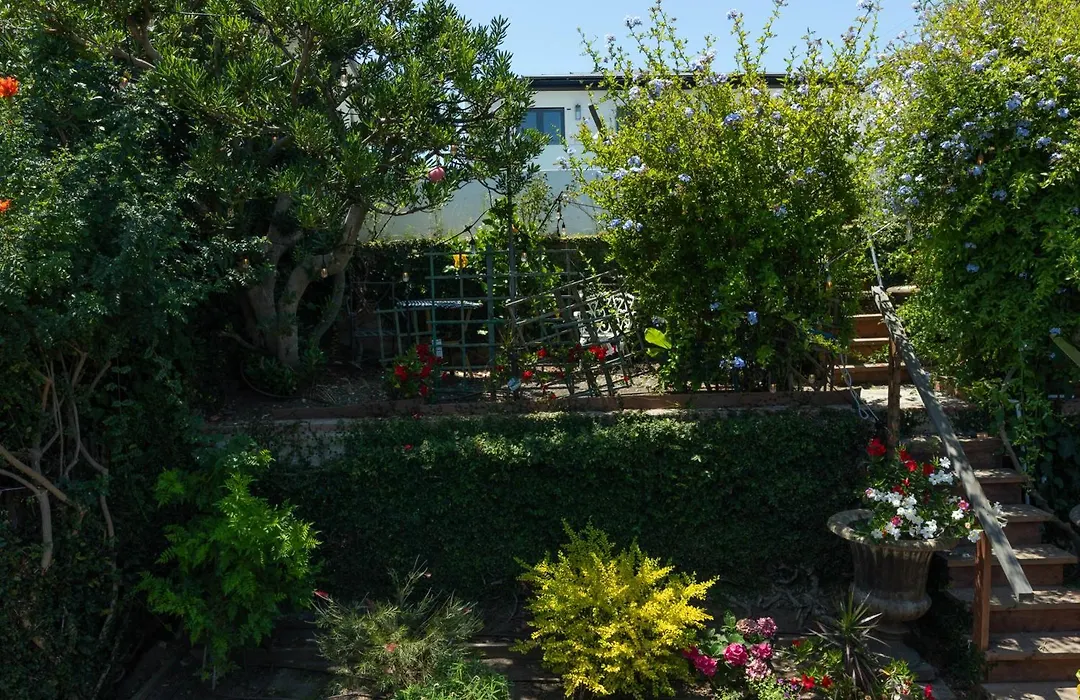 Overlooking Marina Del Rey Sailboats, Is Green Ginger Playa Del Rey On The Bluff,-1