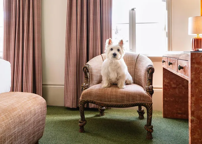 Maison 140 Beverly Hills